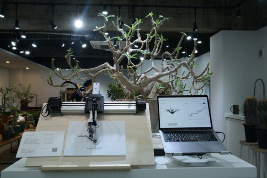 Masaki Kato × MEGASHEEP “electron flowers” & “Neuro Garden”(京都)