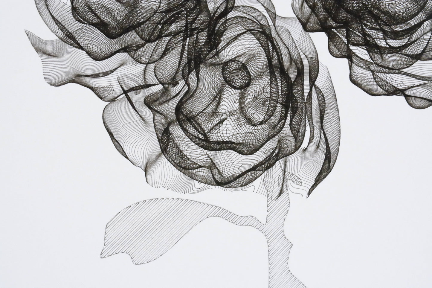 Rose Wave