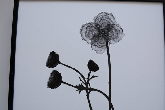 Cosmos